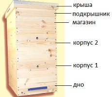 цены на ульи Дадана в Москве и Санкт-Петербурге
