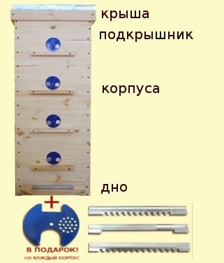 цены на ульи рута
