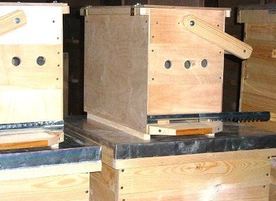 ящик пчеловода